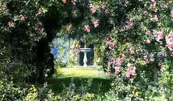 Emily Dickinson's garden 