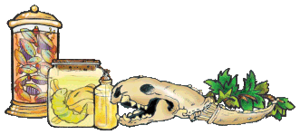Bill Buczinsky's poetic graphic of a dead animal skull with jars of science experiments 