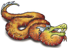 Bill Buczinsky's poetic graphic of a lizard